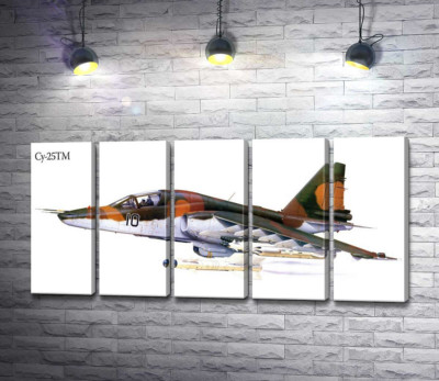 Самолет-штурмовик Су-25 "Грач" (Frogfoot)