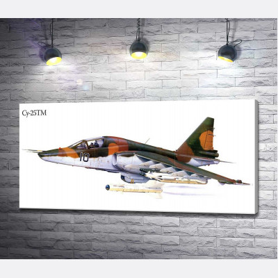 Самолет-штурмовик Су-25 "Грач" (Frogfoot)