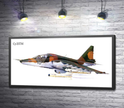 Постер "Літак-штурмовик Су-25 "Грач" (Frogfoot)"