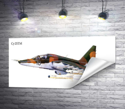 Самолет-штурмовик Су-25 "Грач" (Frogfoot)