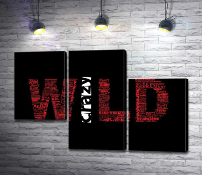 Модульная картина "Красная надпись "Дикий" (Wild) на черном фоне"