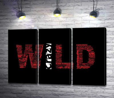 Модульна картина "Червоний напис "Дикий" (Wild) на чорному тлі"