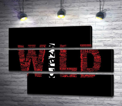 Модульная картина "Красная надпись "Дикий" (Wild) на черном фоне"
