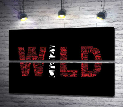 Модульная картина "Красная надпись "Дикий" (Wild) на черном фоне"