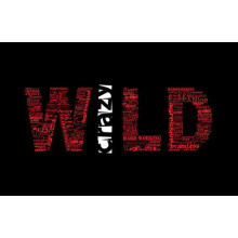 Красная надпись "Дикий" (Wild) на черном фоне