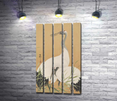 Два журавля (Two Cranes) – Охара Косон (Ohara Koson)