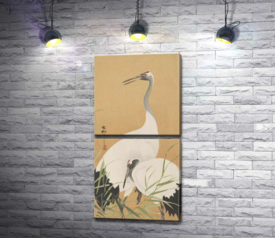 Два журавлі (Two Cranes) - Охара Косон (Ohara Koson)