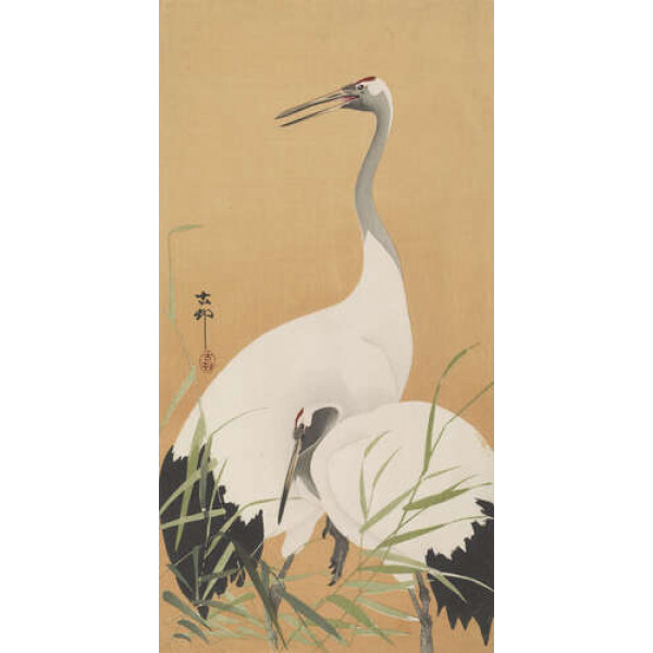 Два журавлі (Two Cranes) - Охара Косон (Ohara Koson)