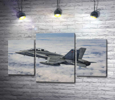 Канадський винищувач Mc Donnell Douglas CF-18 Hornet розрізає небесний простір