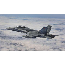 Канадський винищувач Mc Donnell Douglas CF-18 Hornet розрізає небесний простір