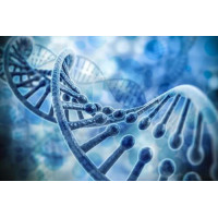 Сочетание генов в ленте ДНК