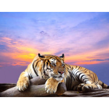 Смугастий тигр мирно лежить на камені під переливами вечірнього неба