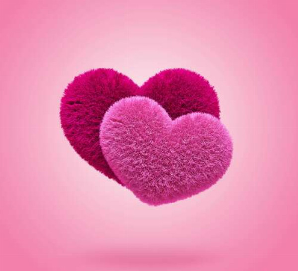 Пухнаста любов рожевих сердечок