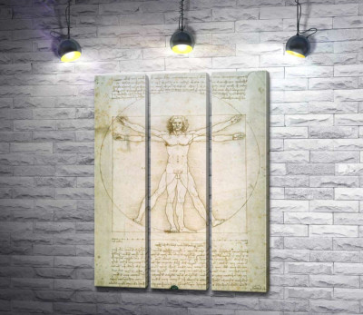 Модульна картина "Вітрувіанська людина (Homo vitruvianus)"