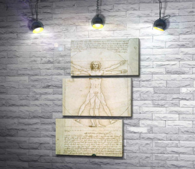 Модульная картина "Витрувианский человек (Homo vitruvianus)"