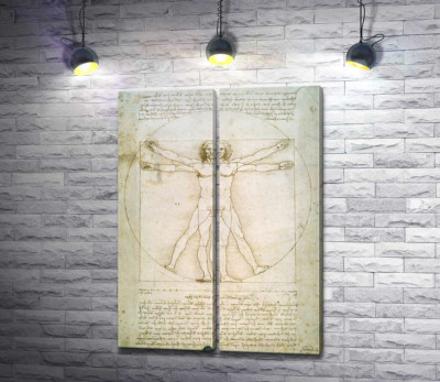 Модульная картина "Витрувианский человек (Homo vitruvianus)"