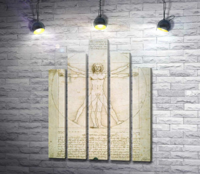 Витрувианский человек (Homo vitruvianus)