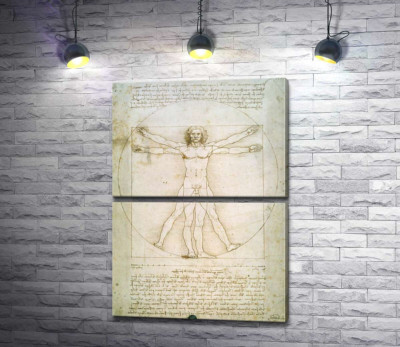 Модульная картина "Витрувианский человек (Homo vitruvianus)"