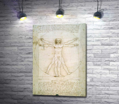 Вітрувіанська людина (Homo vitruvianus)