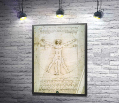 Постер "Вітрувіанська людина (Homo vitruvianus)"