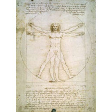 Вітрувіанська людина (Homo vitruvianus) - Леонардо да Вінчі (Leonardo da Vinci)