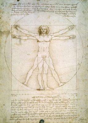 Витрувианский человек (Homo vitruvianus)