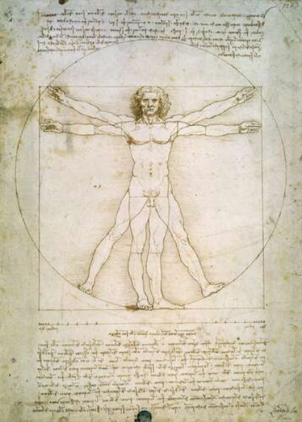 Витрувианский человек (Homo vitruvianus) – Леонардо да Винчи (Leonardo da Vinci)