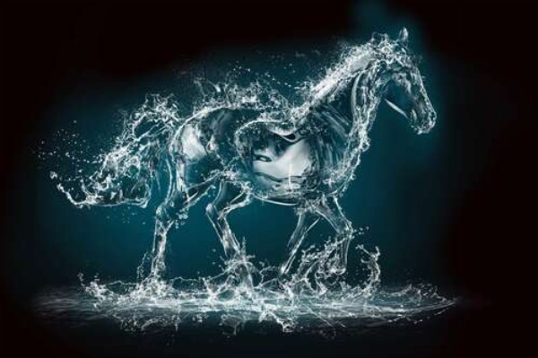 Блеск капель в голубом силуэте лошади из воды