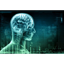 Наука будущего: передача данных о мозге человека