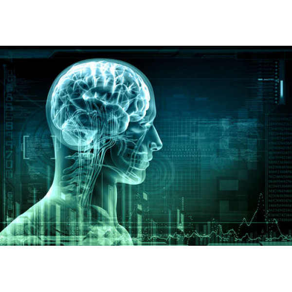 Наука майбутнього: передача даних про мозок людини