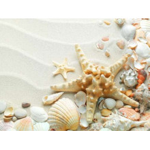 Пастельний візерунок на піску з морських зірок та мушель