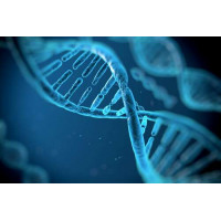 Набір генів ДНК в хромосомах