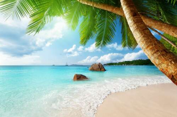Пляжний відпочинок в тіні тропічних пальм