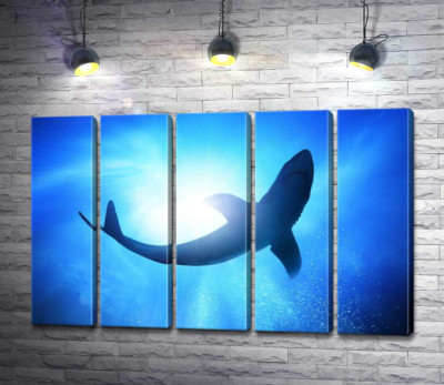 Модульная картина "Акула в глубинах океана"