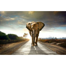 Масивна фігура слона, що прямує дорогою