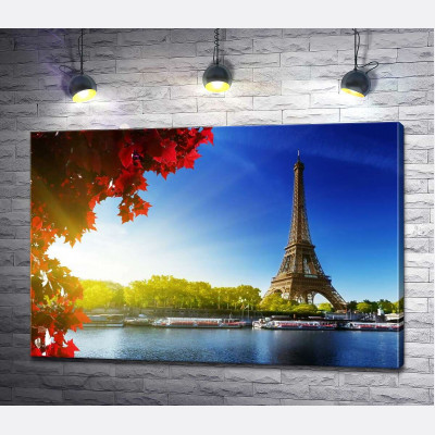 Ейфелева вежа (Eiffel tower) височіє за Сеною
