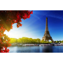 Ейфелева вежа (Eiffel tower) височіє за Сеною
