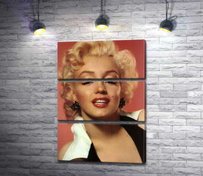 Модульная картина "Мэрилин Монро (Marilyn Monroe) позирует для первого номера журнала Playboy"