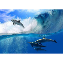 Дельфіни виринають з гребеня хвилі