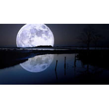 Плямистий місяць навис над темним болотом