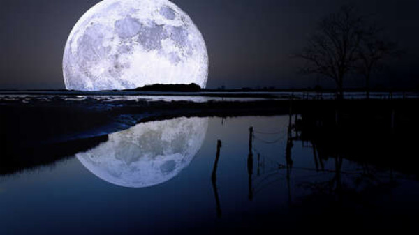 Пятнистая луна нависла над темным болотом