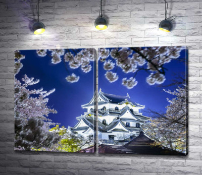 Середньовічний японський замок Хіконе (Hikone Castle) навесні