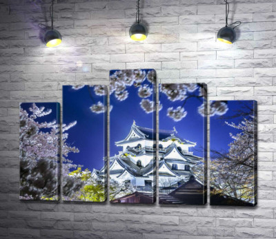 Середньовічний японський замок Хіконе (Hikone Castle) навесні