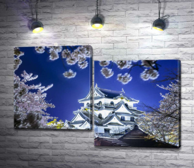 Средневековый японский замок Хикона (Hikone Castle) весной