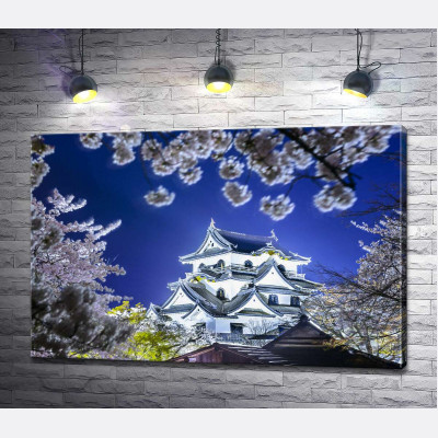 Середньовічний японський замок Хіконе (Hikone Castle) навесні