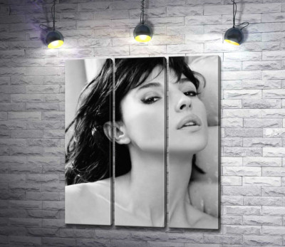 Модульна картина "Відвертий погляд Моніки Беллуччі (Monica Bellucci)"