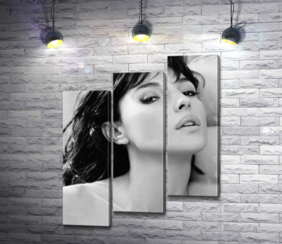 Модульная картина "Откровенный взгляд Моники Беллуччи (Monica Bellucci)"