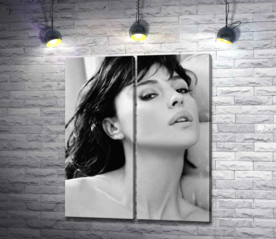 Модульная картина "Откровенный взгляд Моники Беллуччи (Monica Bellucci)"