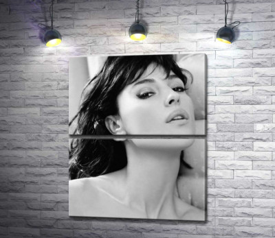 Модульная картина "Откровенный взгляд Моники Беллуччи (Monica Bellucci)"