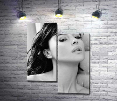 Модульна картина "Відвертий погляд Моніки Беллуччі (Monica Bellucci)"